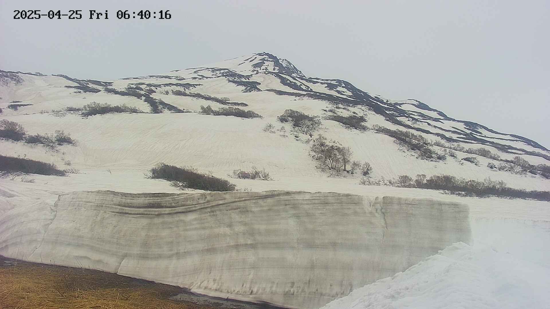 area1-20250425064017.jpg