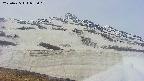 area1-20250425075017.jpg