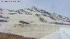 area1-20250425080018.jpg