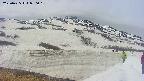 area1-20250425090017.jpg