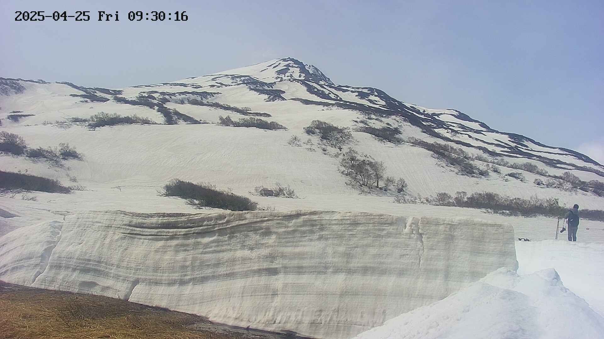 area1-20250425093018.jpg