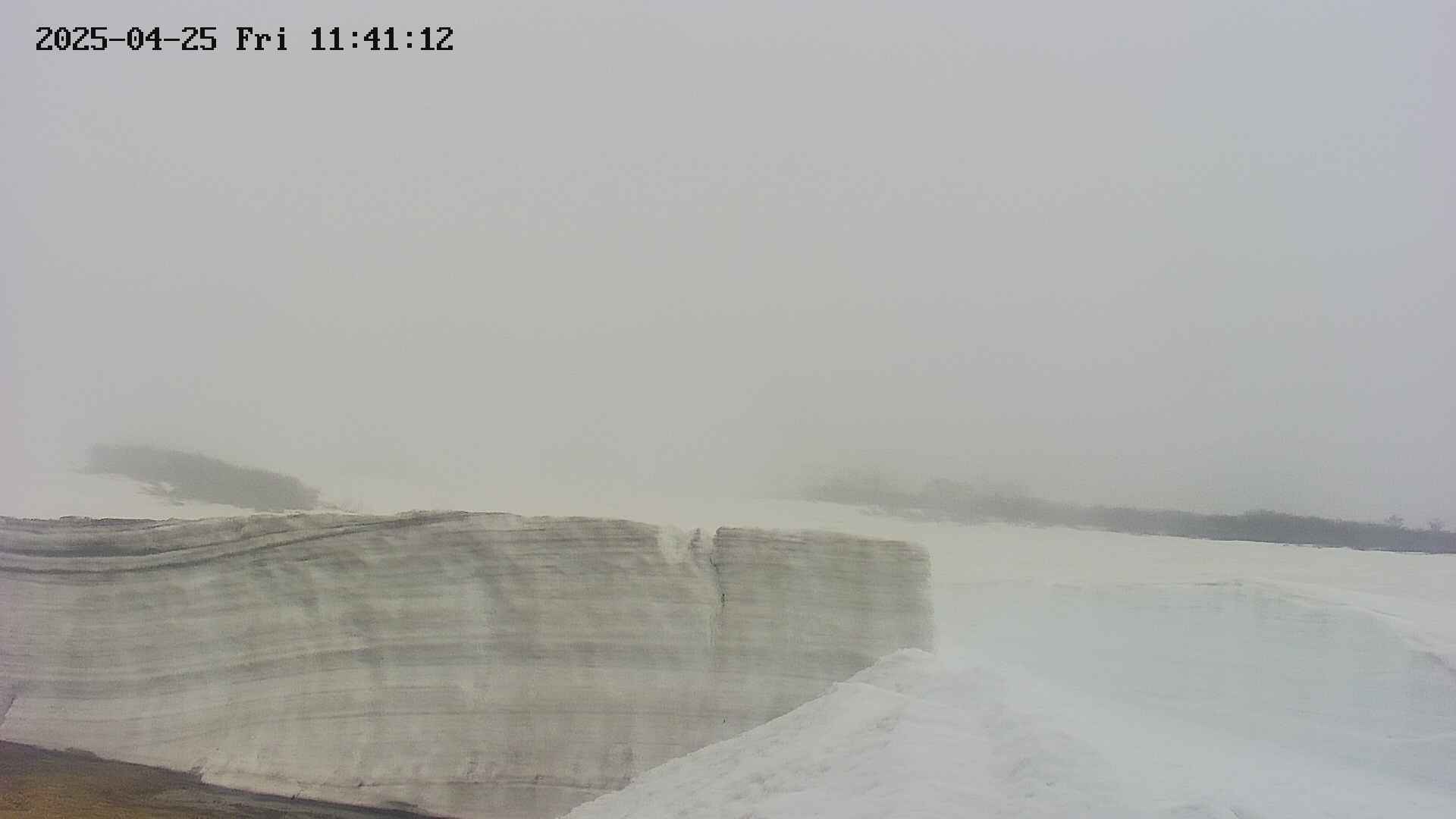 area1-20250425114134.jpg