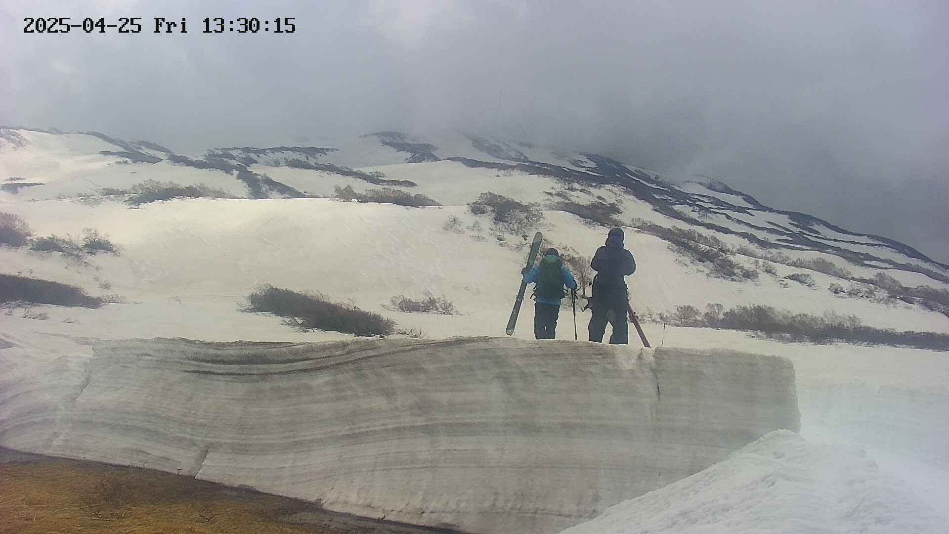 area1-20250425133020.jpg