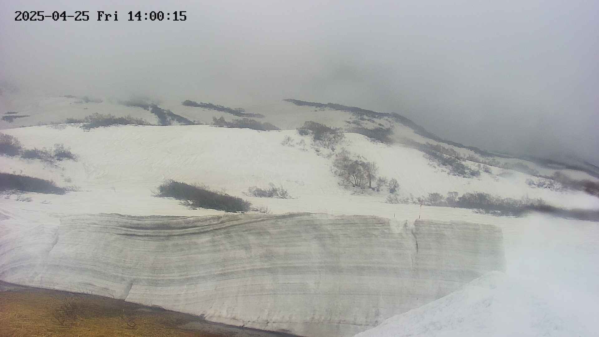 area1-20250425140019.jpg