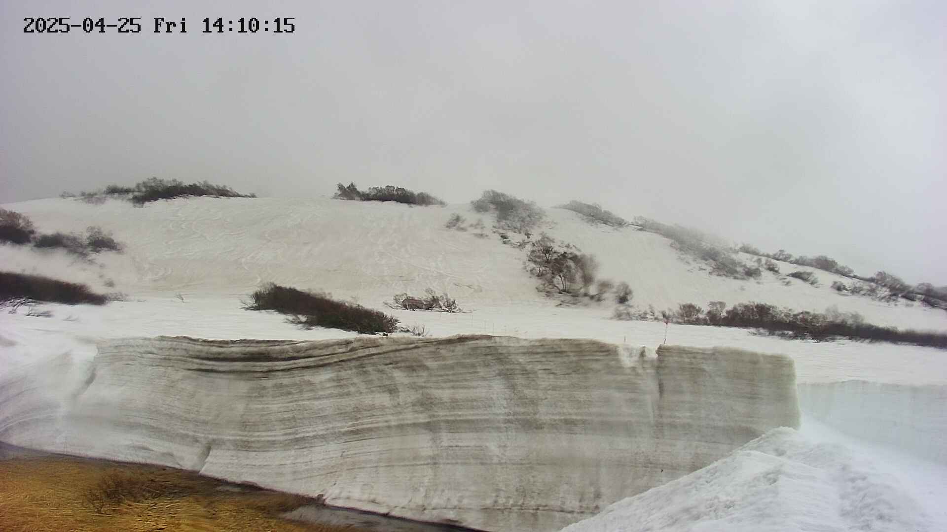 area1-20250425141019.jpg