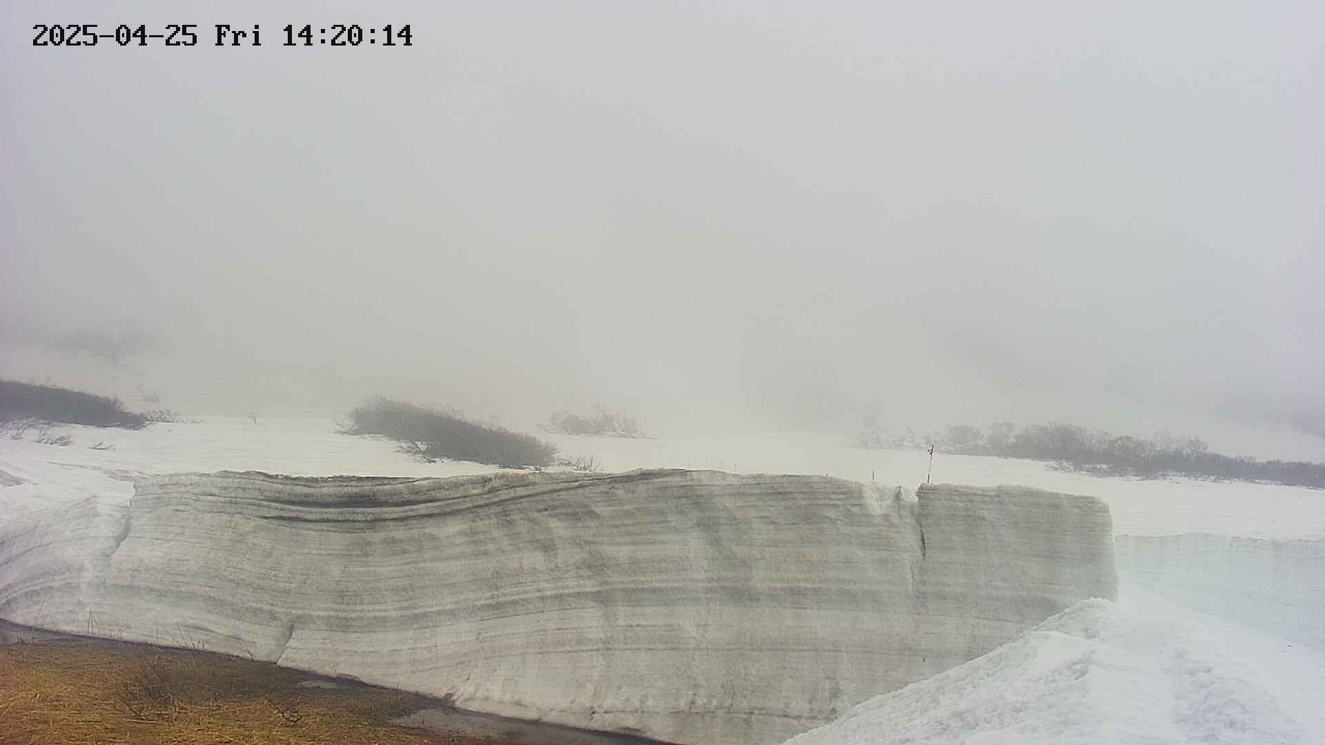 area1-20250425142018.jpg