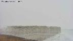area1-20250425171016.jpg