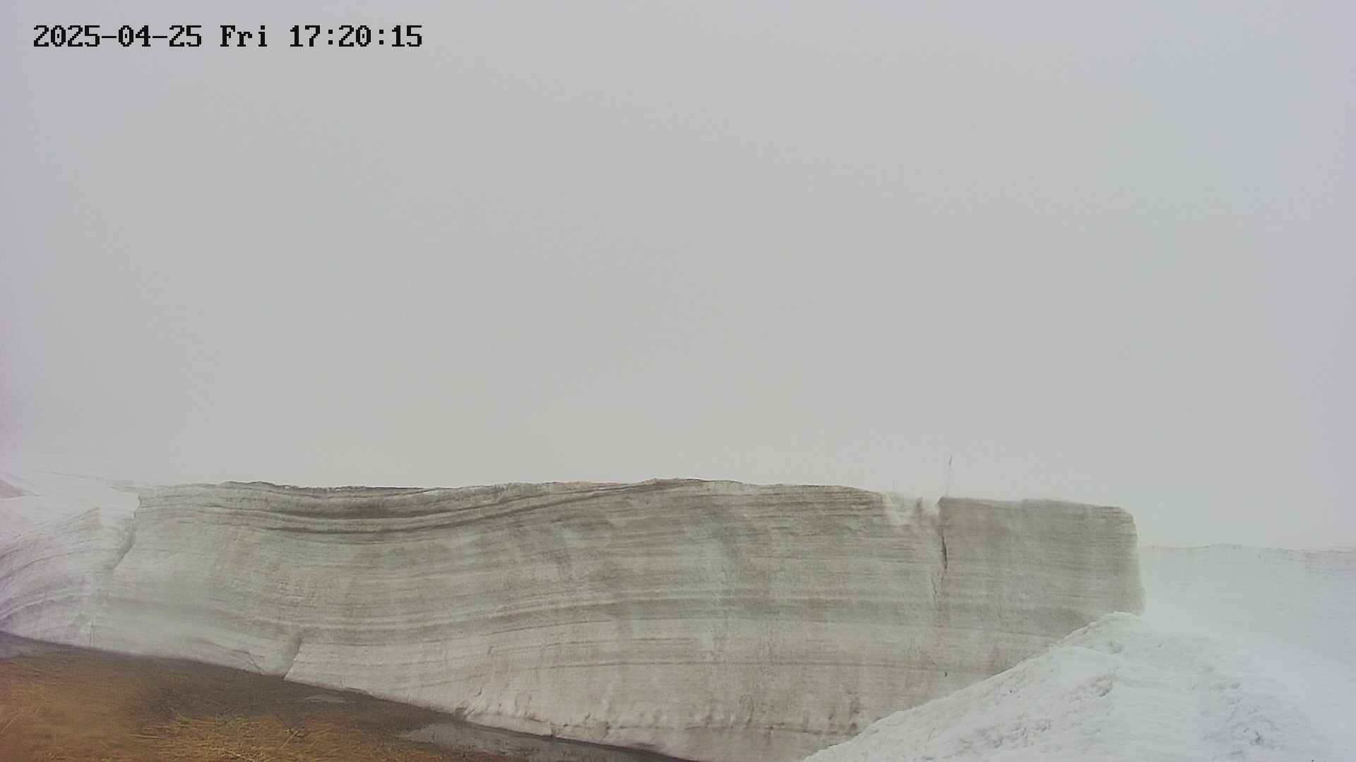 area1-20250425172017.jpg