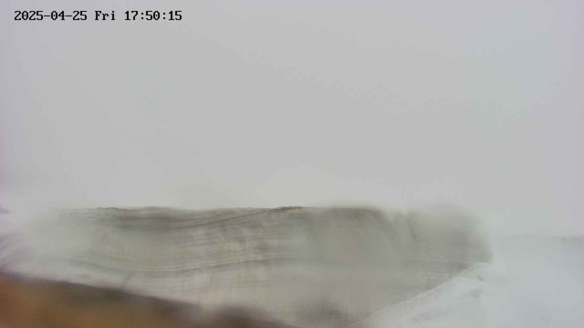 area1-20250425175017.jpg