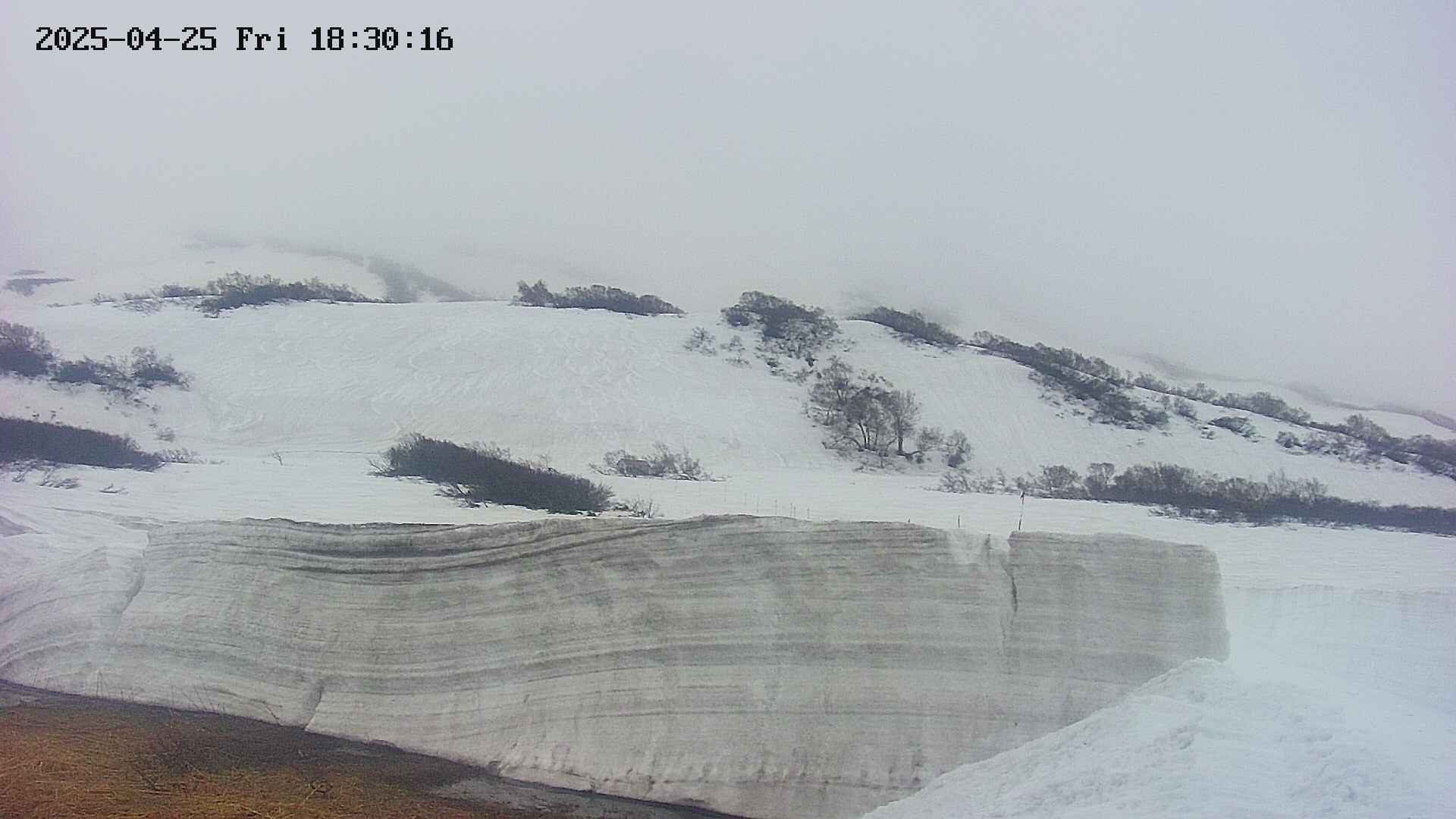 area1-20250425183020.jpg