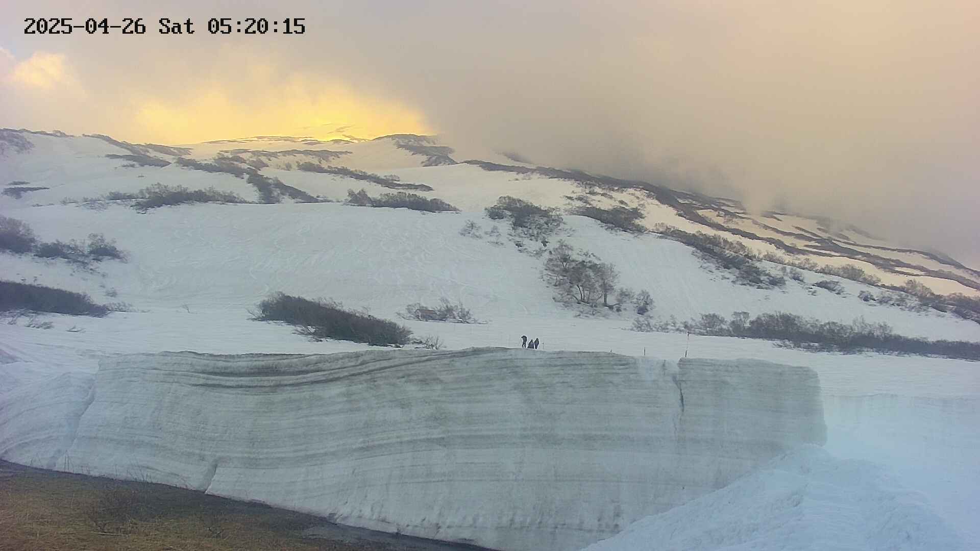 area1-20250426052016.jpg