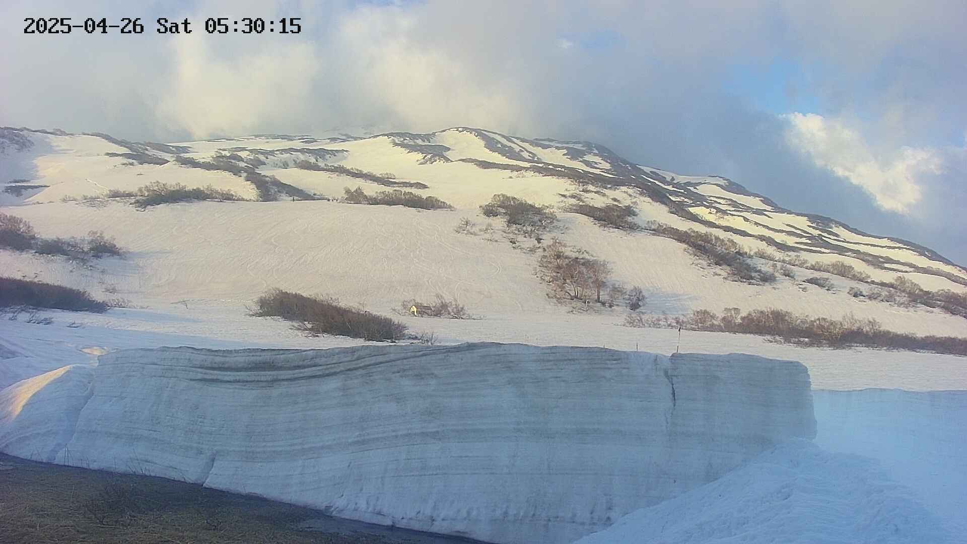 area1-20250426053016.jpg