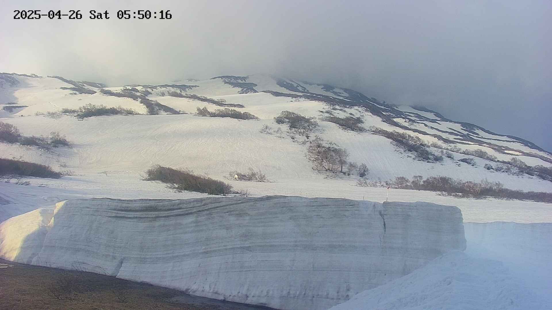 area1-20250426055018.jpg