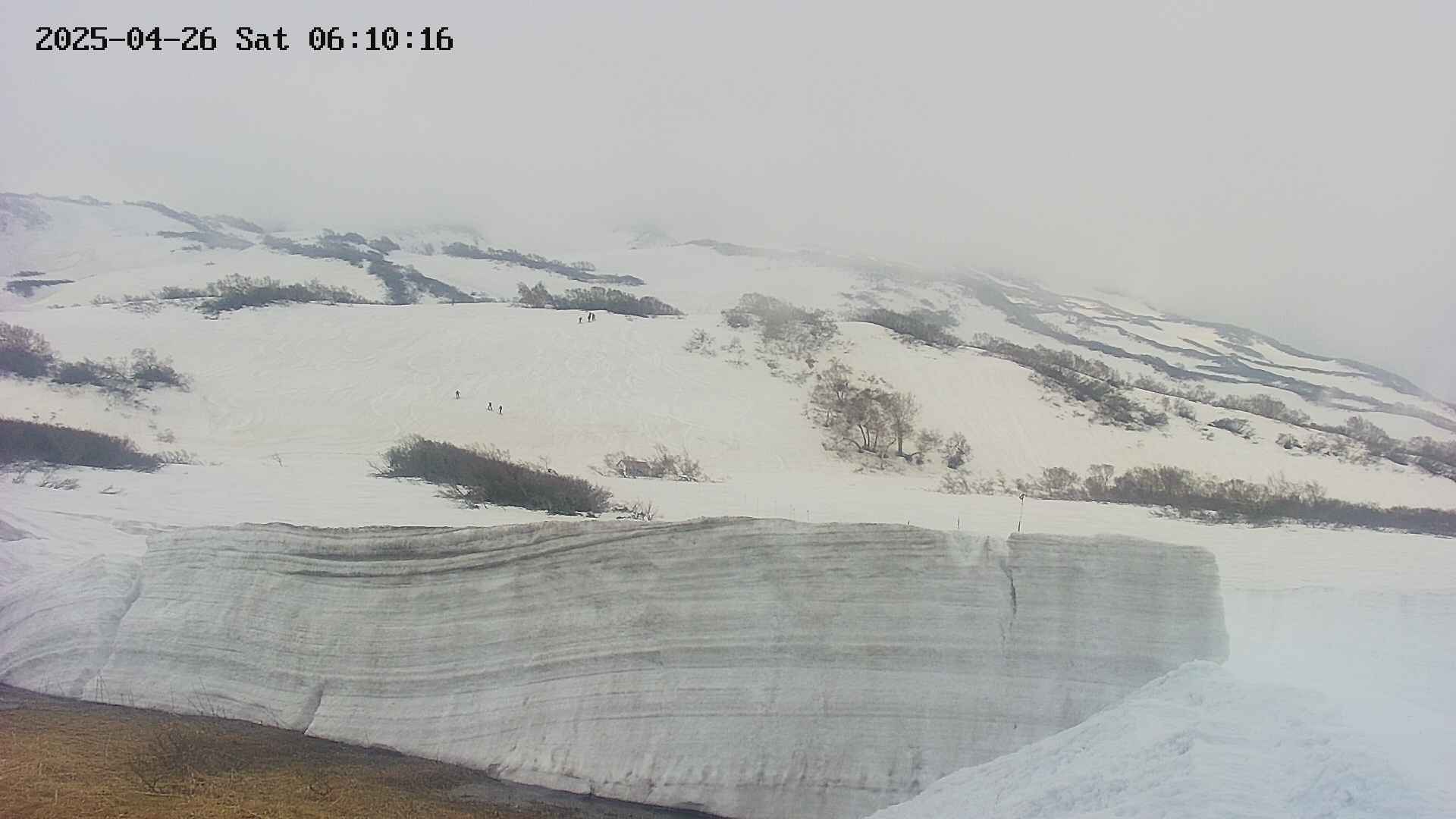 area1-20250426061017.jpg