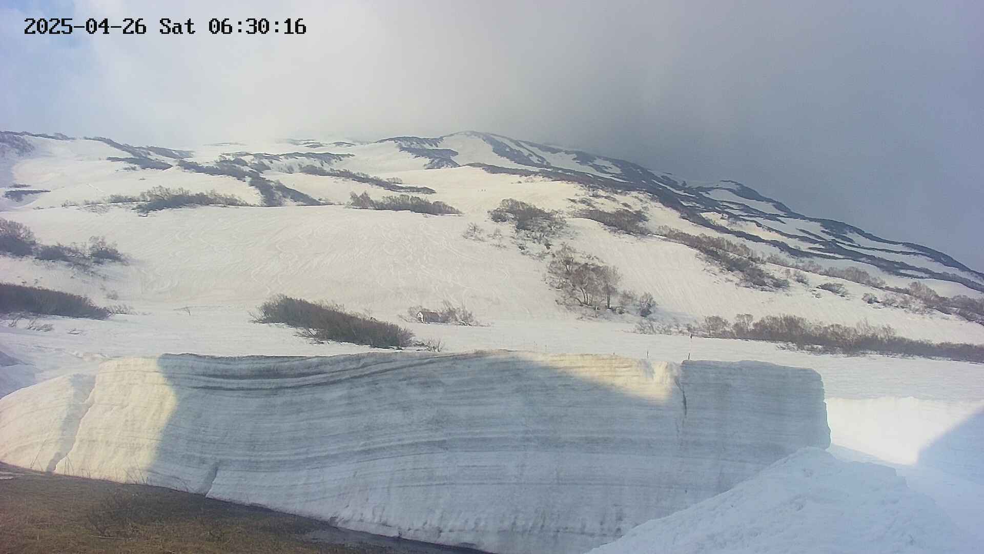 area1-20250426063017.jpg