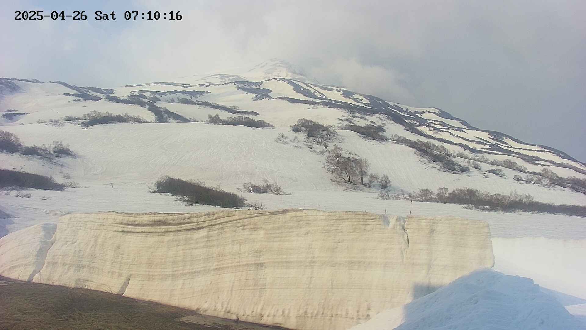 area1-20250426071019.jpg