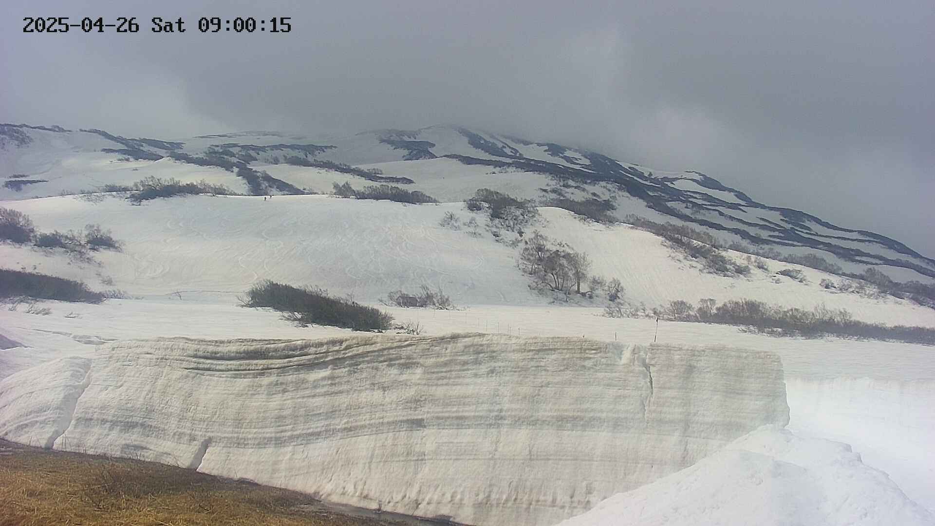 area1-20250426090026.jpg