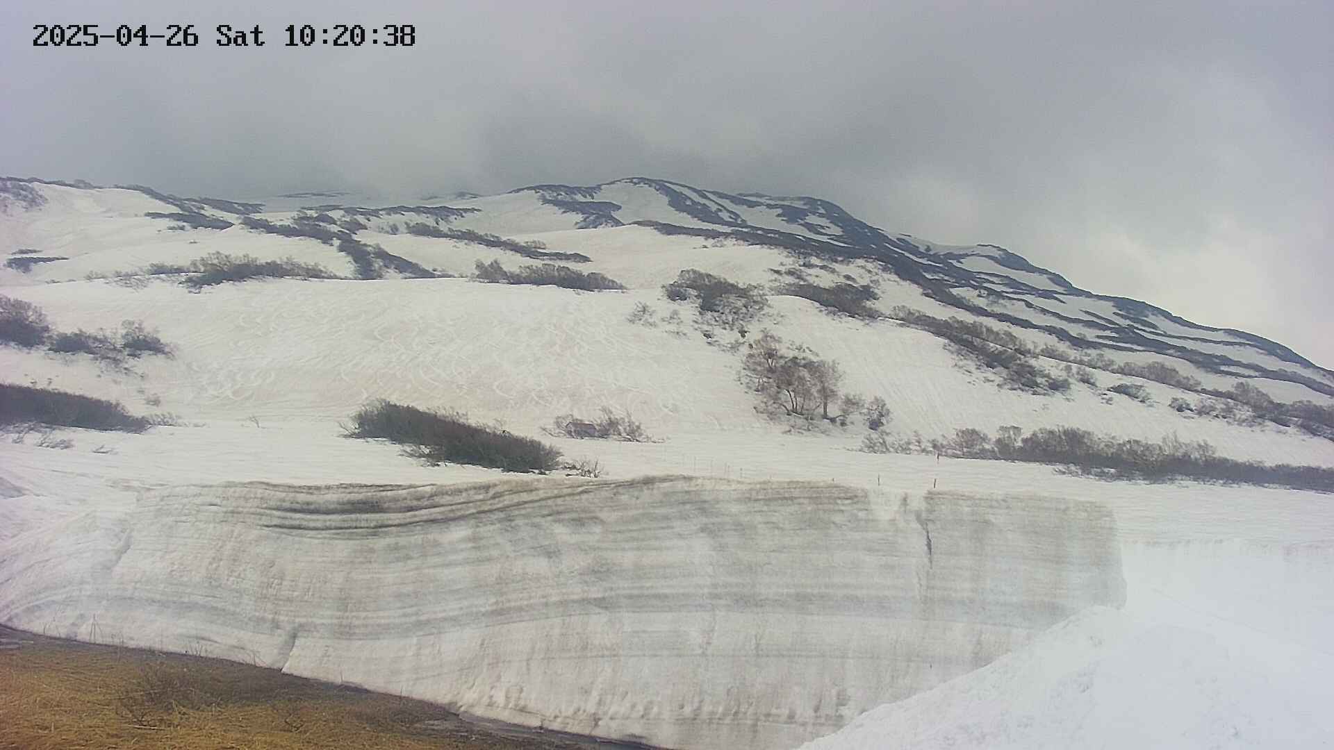area1-20250426102042.jpg