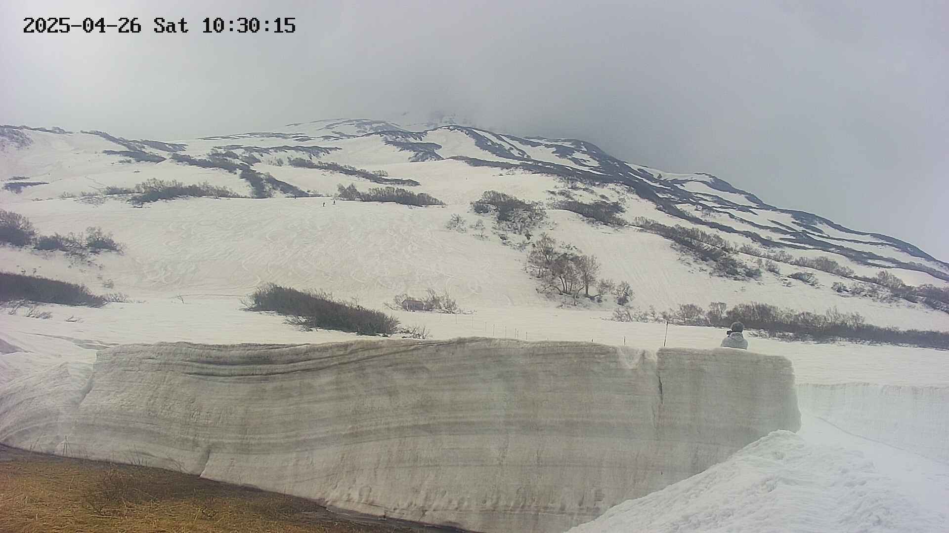 area1-20250426103020.jpg