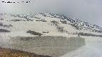 area1-20250426103020.jpg