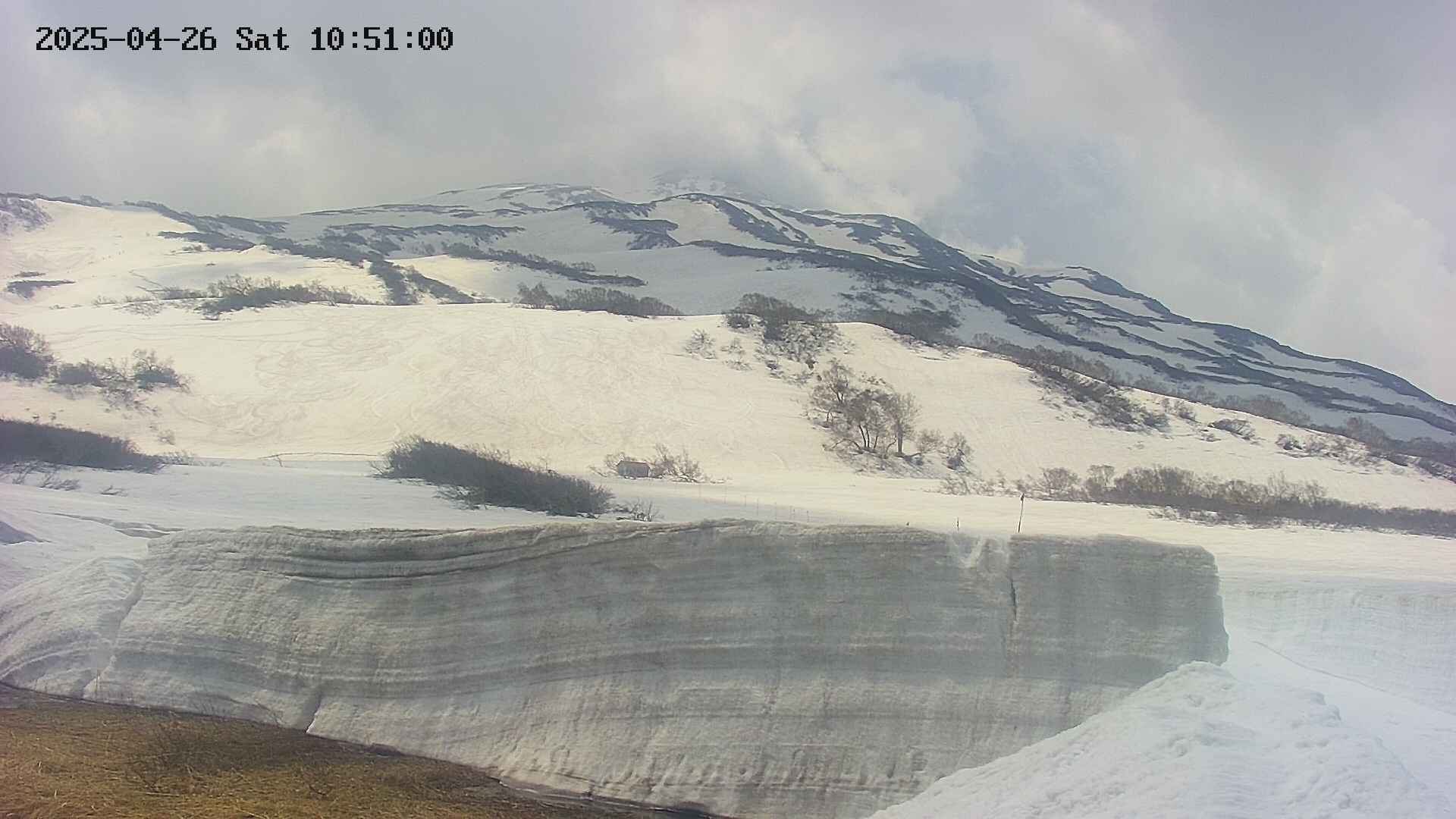 area1-20250426105111.jpg