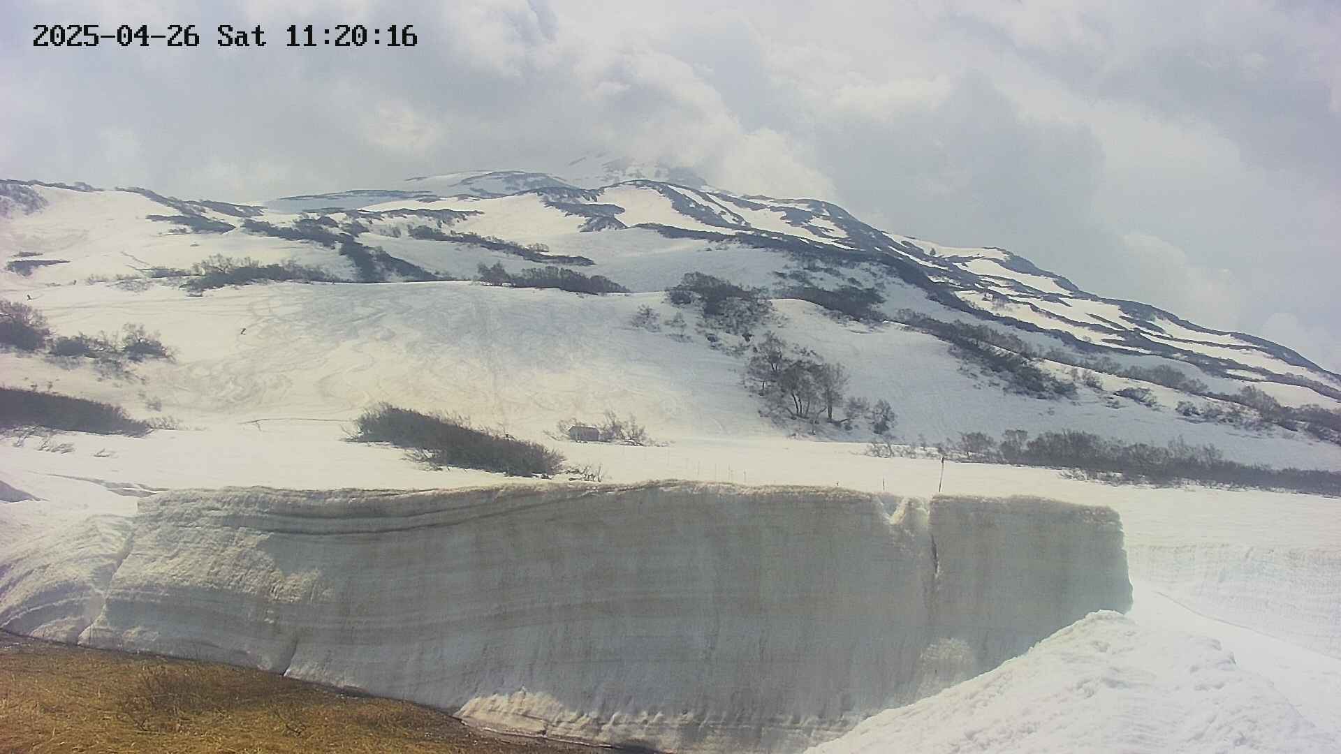 area1-20250426112020.jpg