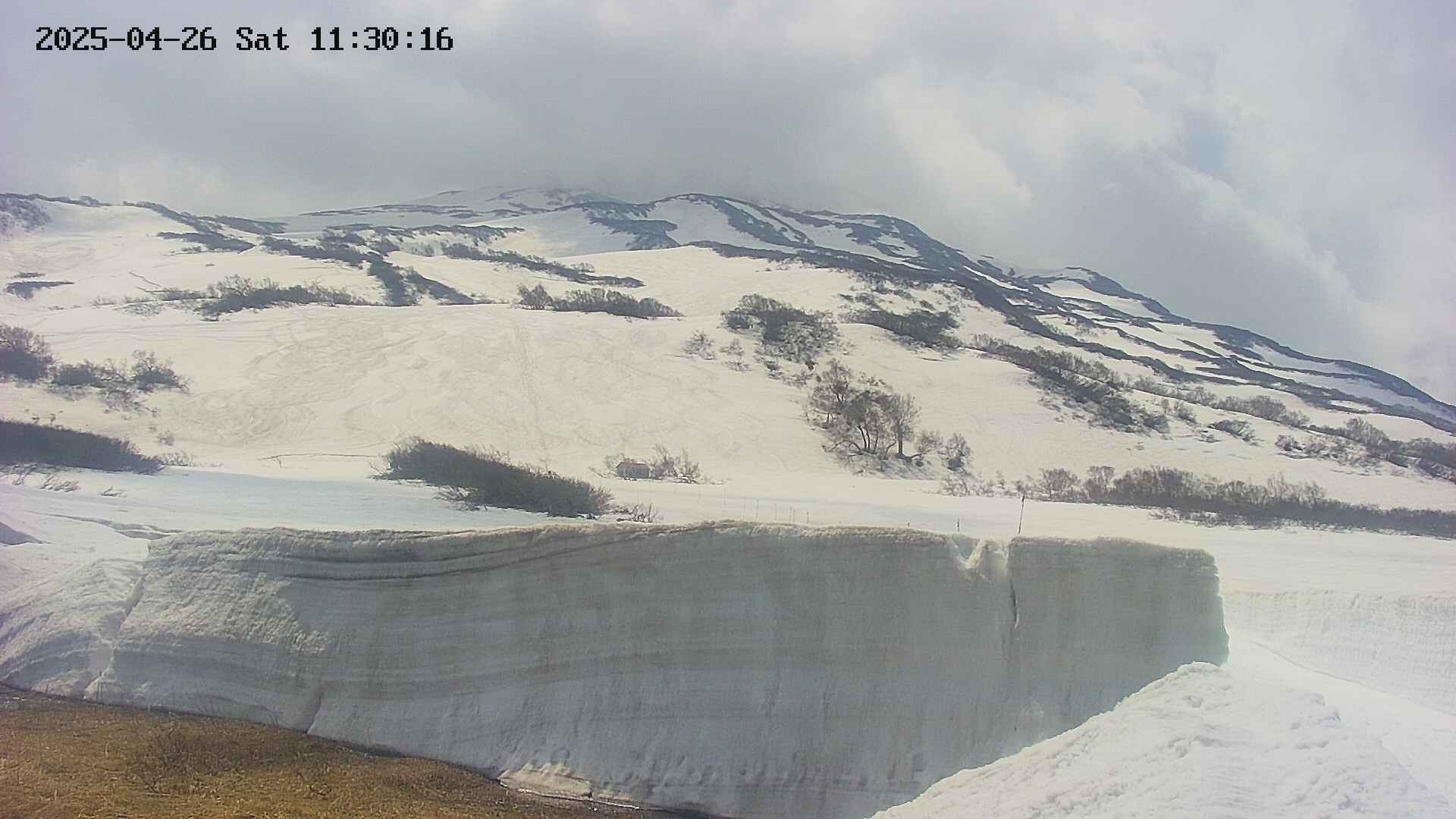 area1-20250426113022.jpg