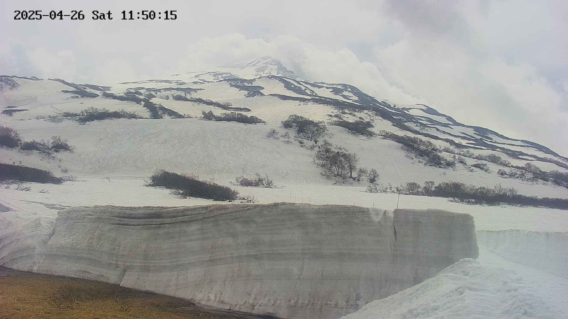 area1-20250426115018.jpg