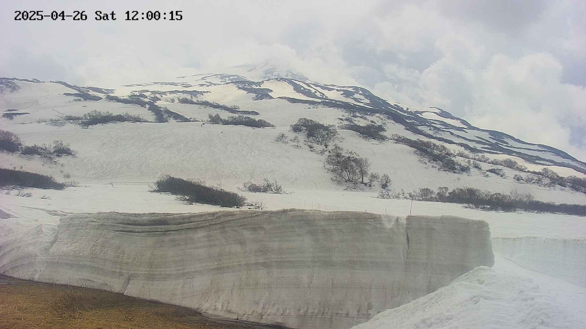 area1-20250426120019.jpg