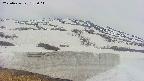 area1-20250426152018.jpg