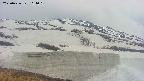 area1-20250426161020.jpg