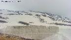 area1-20250426170018.jpg