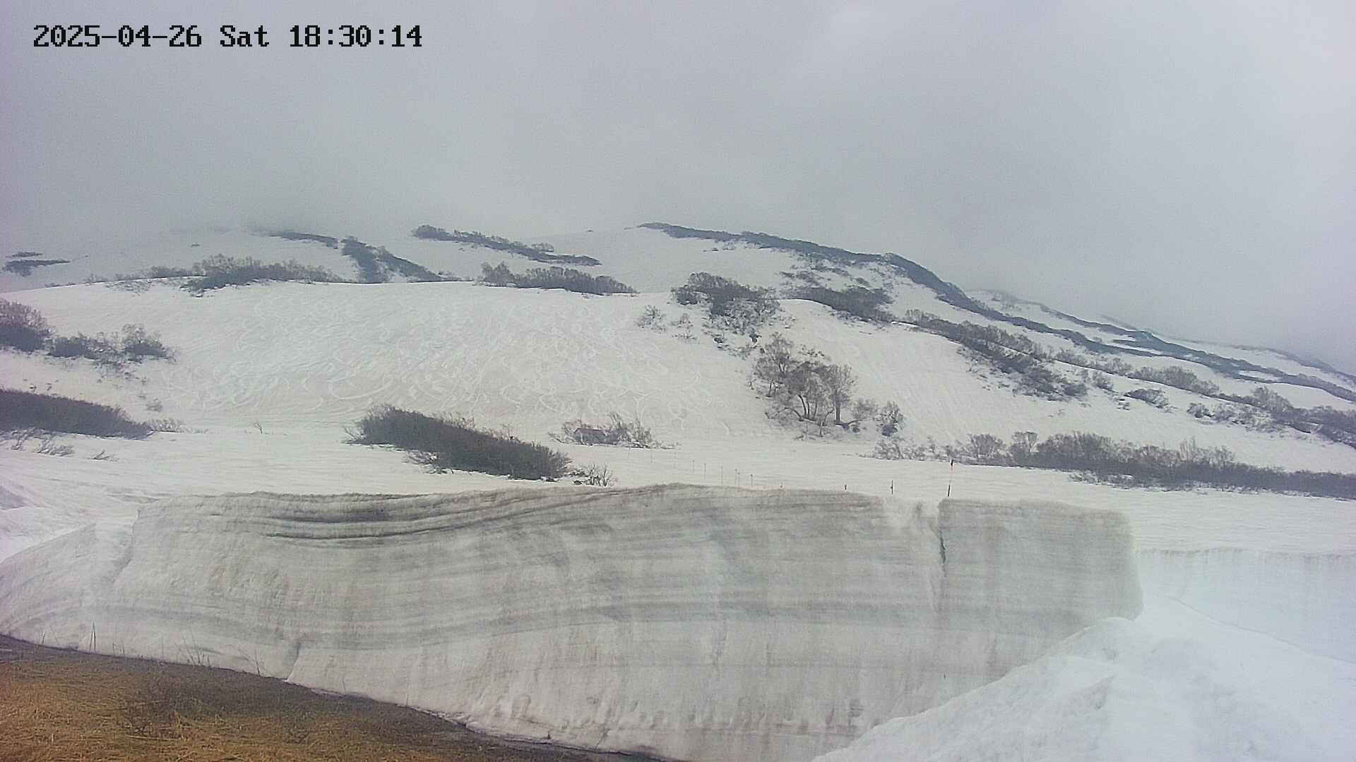 area1-20250426183016.jpg