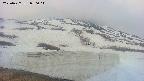 area1-20250427050017.jpg