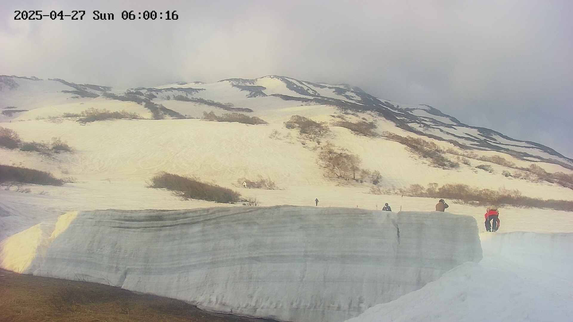 area1-20250427060017.jpg