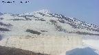 area1-20250427072017.jpg