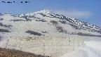 area1-20250427081020.jpg