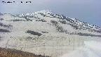 area1-20250427083017.jpg