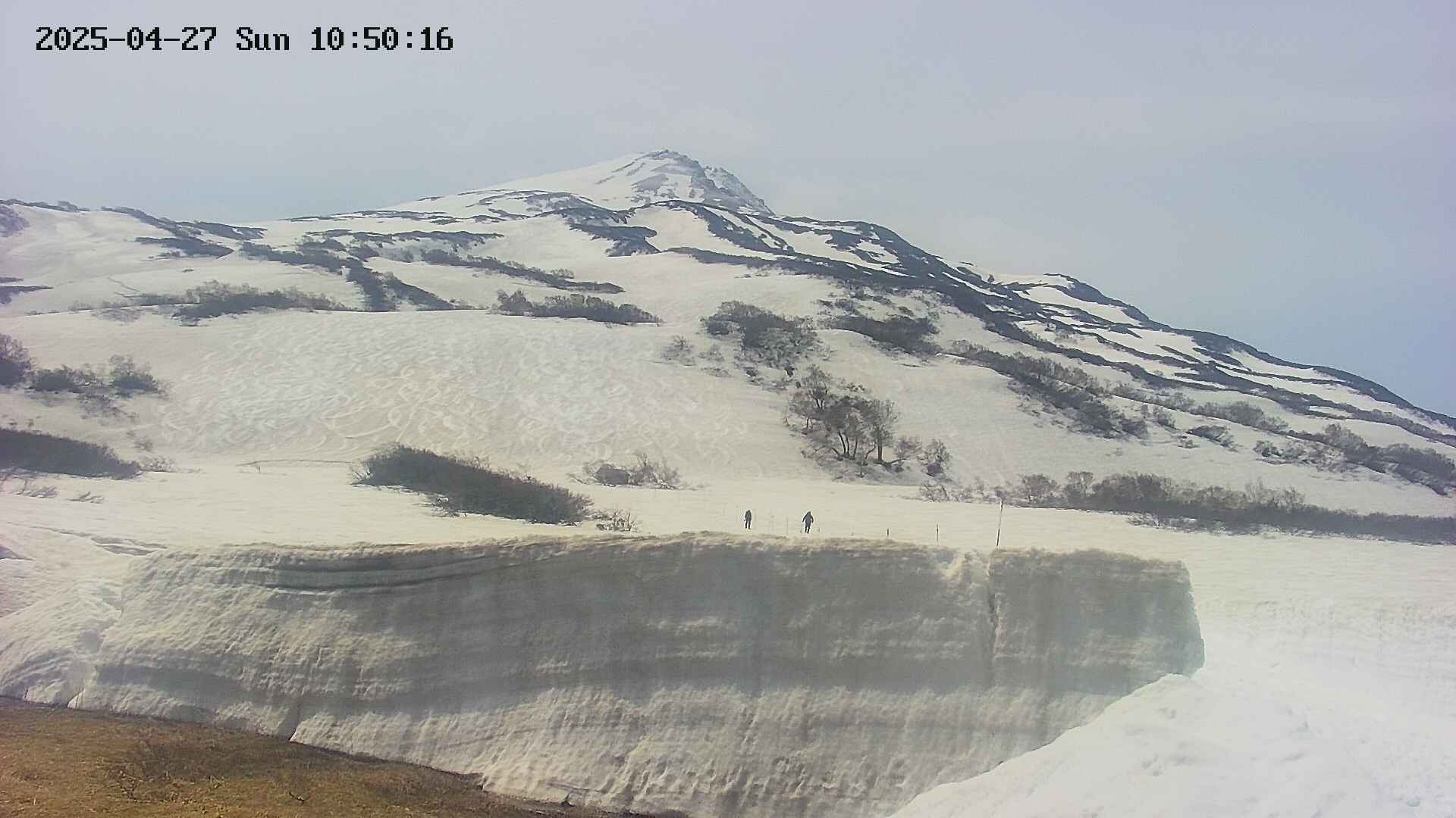 area1-20250427105020.jpg