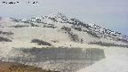 area1-20250427105020.jpg