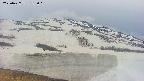 area1-20250427135018.jpg