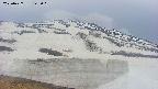 area1-20250427143019.jpg