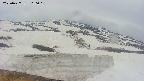 area1-20250427160018.jpg