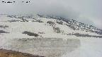 area1-20250427162020.jpg