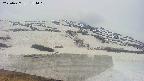 area1-20250427174025.jpg