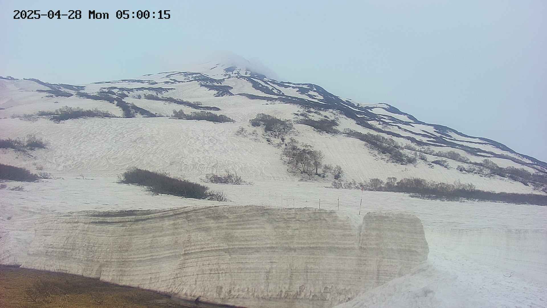 area1-20250428050016.jpg