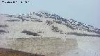 area1-20250428050016.jpg