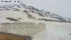 area1-20250428054017.jpg