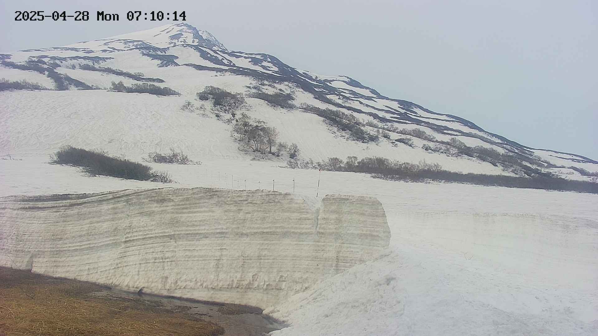 area1-20250428071015.jpg