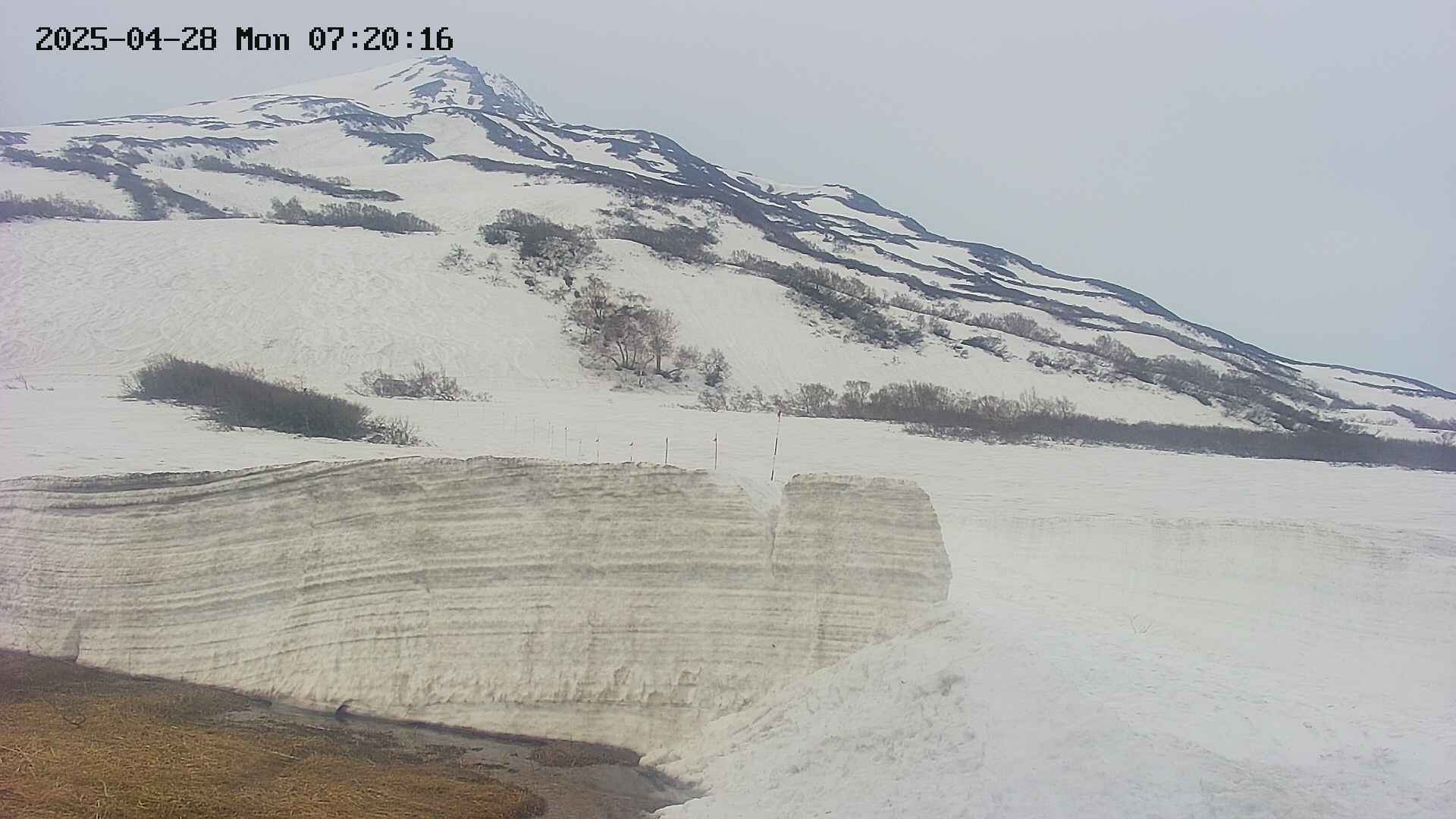 area1-20250428072018.jpg